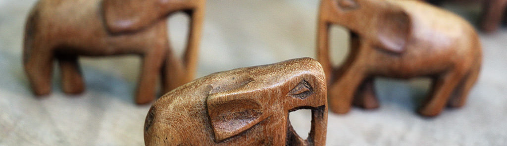 Holz & Natur