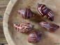 Preview: BAOBAB Frucht braun 5er Set