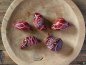 Preview: BAOBAB Frucht rot 5er Set