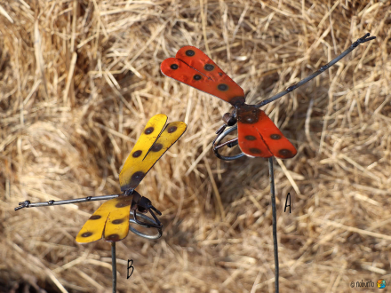 Gartenstecker LIBELLE Metall 80 cm