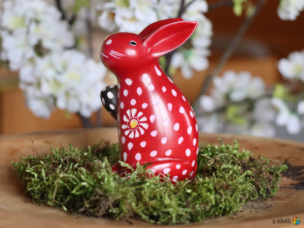 Hase DAISY 11 cm