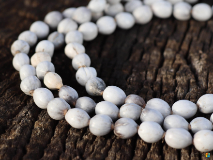Kette SEED 75 cm grau