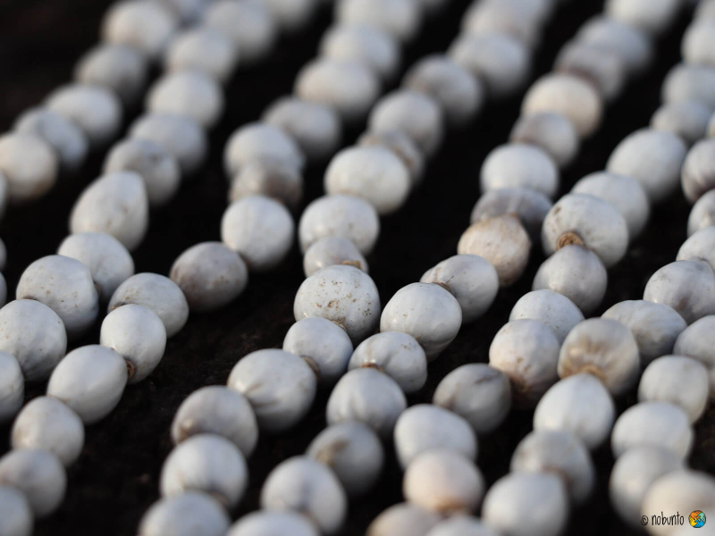 Kette SEED 75 cm grau