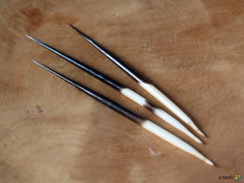 Stachelschwein BORSTE 3er Set